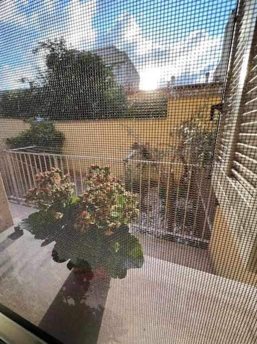 Casa Gambino - 4 Posti Letto Leilighet Pisa